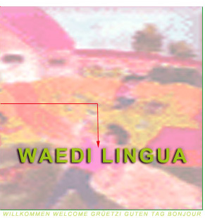 Waedi Lingua